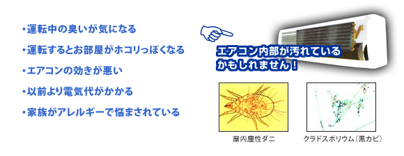 �G�A�R������������Ă��邩������܂���I
